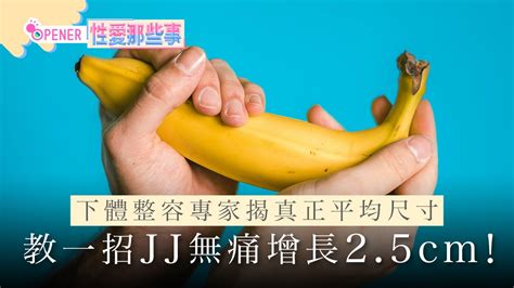 男性陰莖